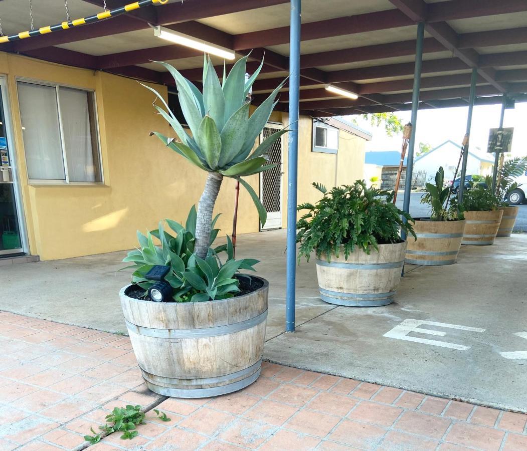 Proserpine Motor Lodge Εξωτερικό φωτογραφία